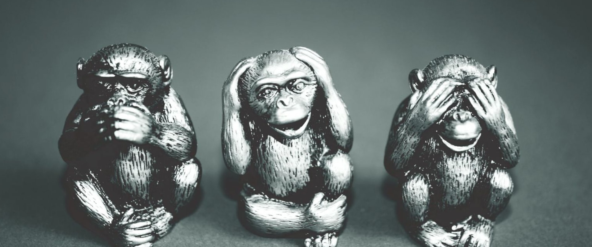Exploring Infallibility, Verifiability, and the Coherence Theory of Truth