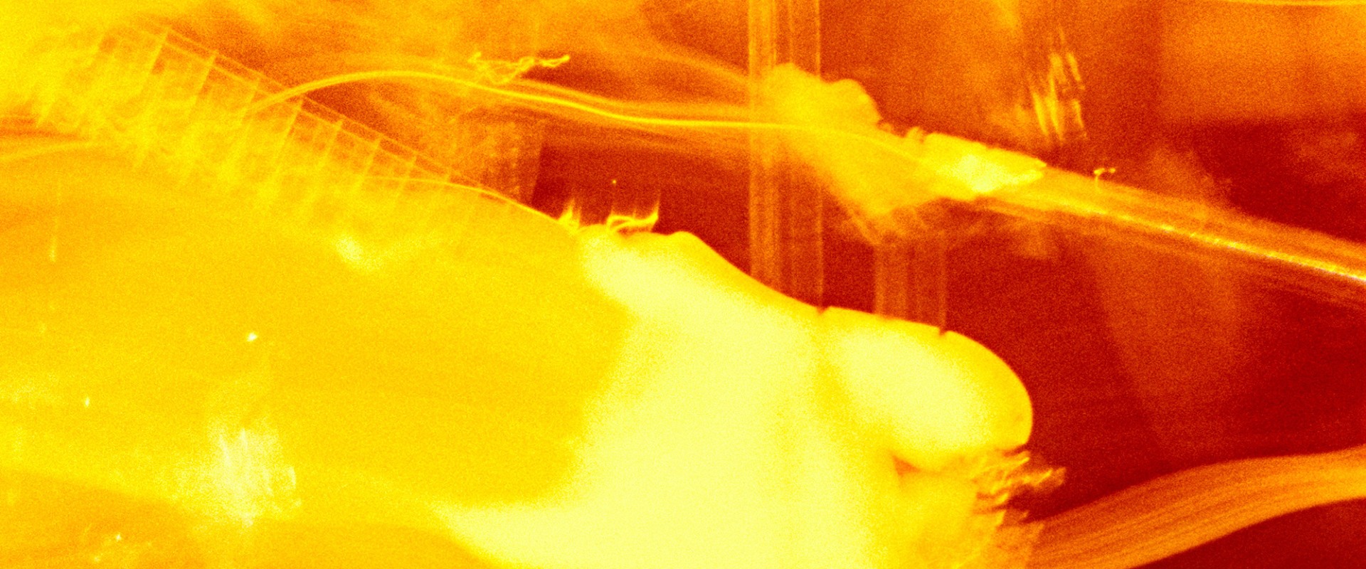 Philosophy of Music: Exploring the Aesthetics of Sound