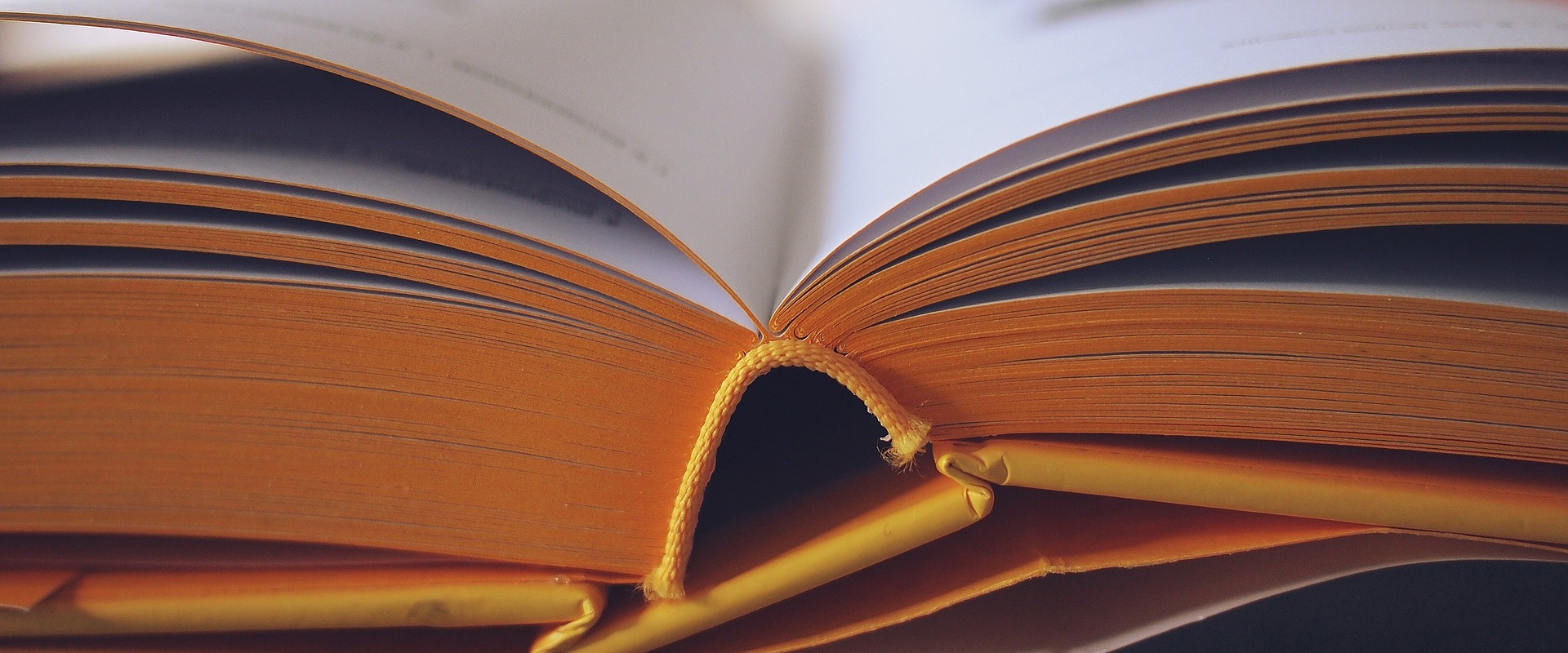 Exploring Pragmatism: A Modern Philosophical School