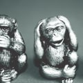 Exploring Infallibility, Verifiability, and the Coherence Theory of Truth