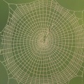 Perception and Knowledge Claims: Understanding Epistemological Terms