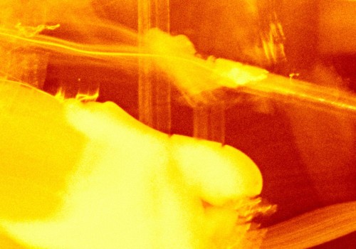 Philosophy of Music: Exploring the Aesthetics of Sound