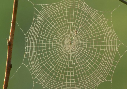 Perception and Knowledge Claims: Understanding Epistemological Terms